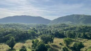 Supreme Court to Hear Sua Sponte Petition on Aravalli Hills Definition Amid Conservation Concerns